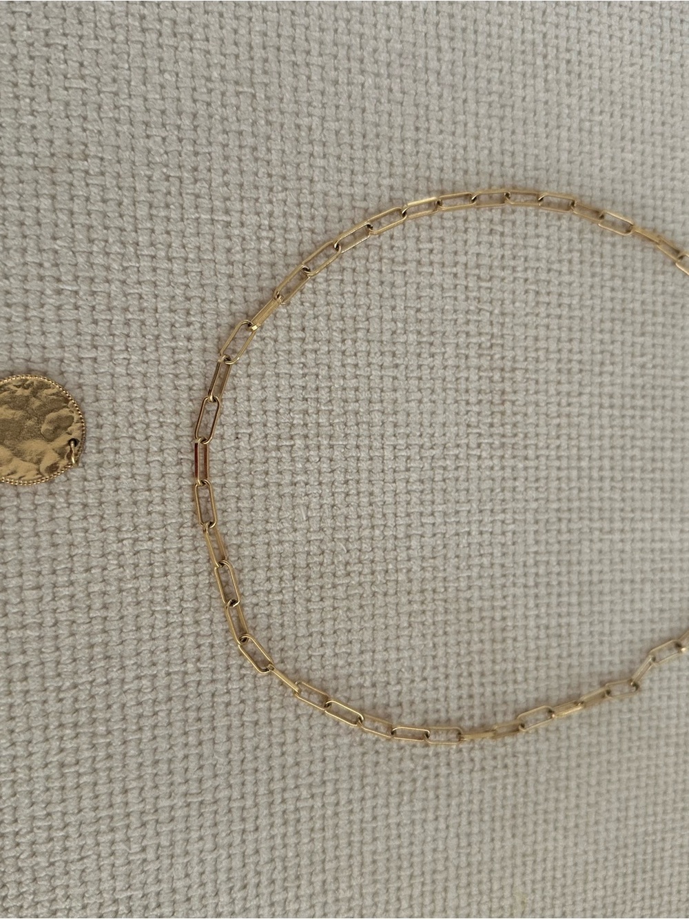 Sezane Chain Necklace with Textured Coin Charm - Picture 6 of 6